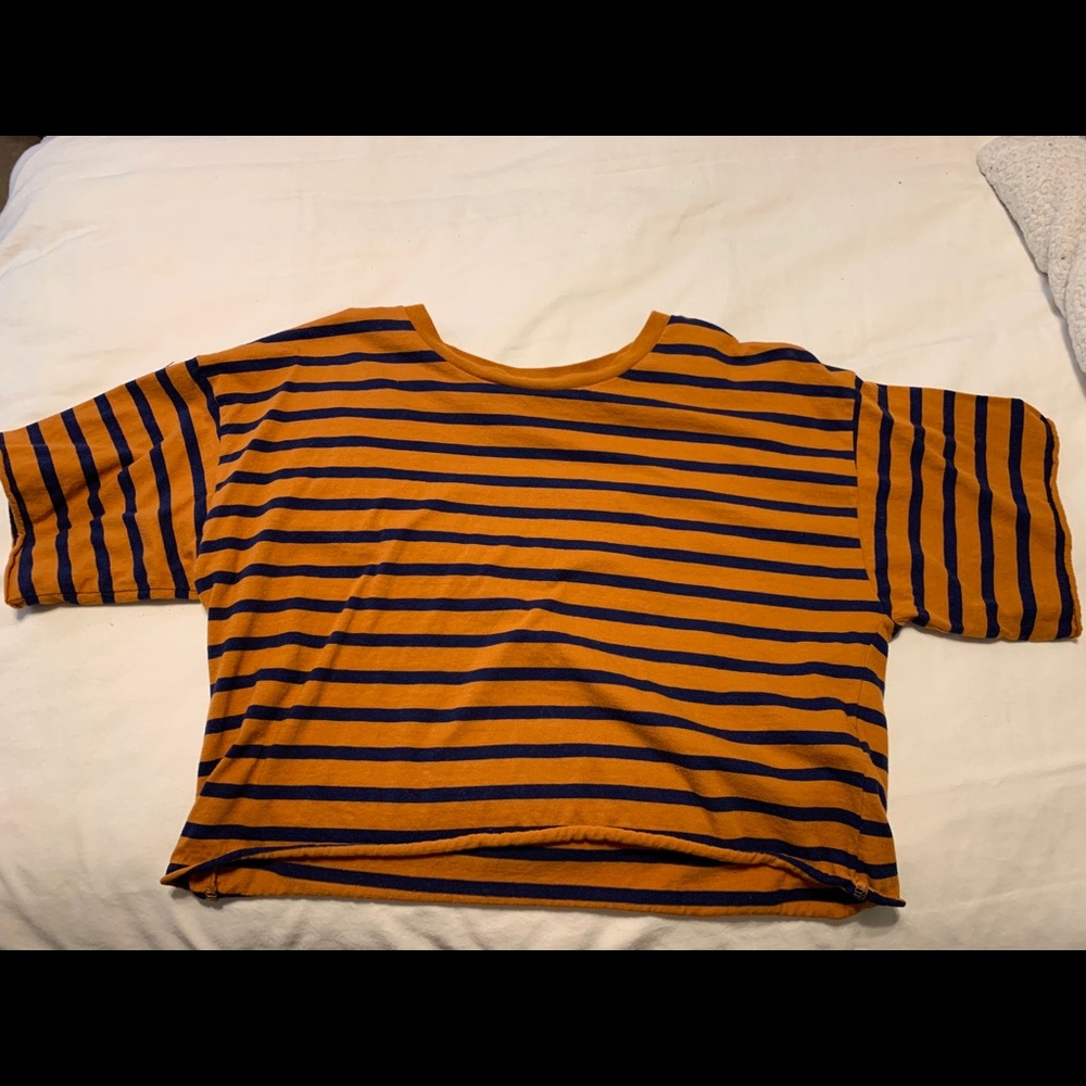 Rust/orange and blue striped crop top